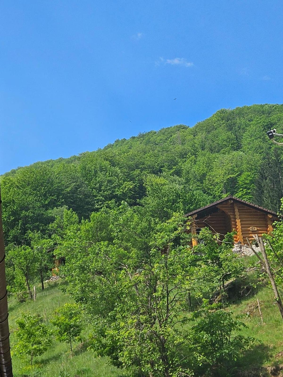 Pensiunea Lupul Dacic Costeşti Buitenkant foto