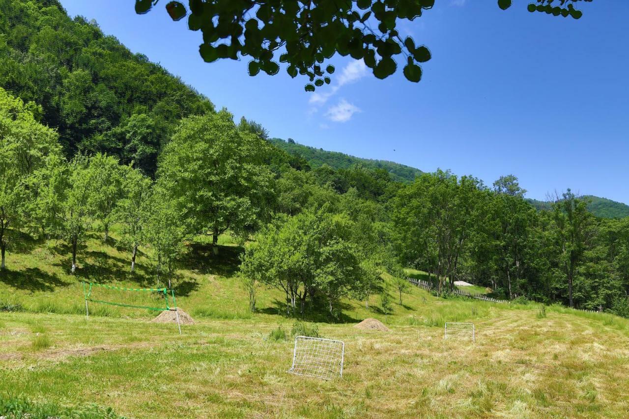 Pensiunea Lupul Dacic Costeşti Buitenkant foto