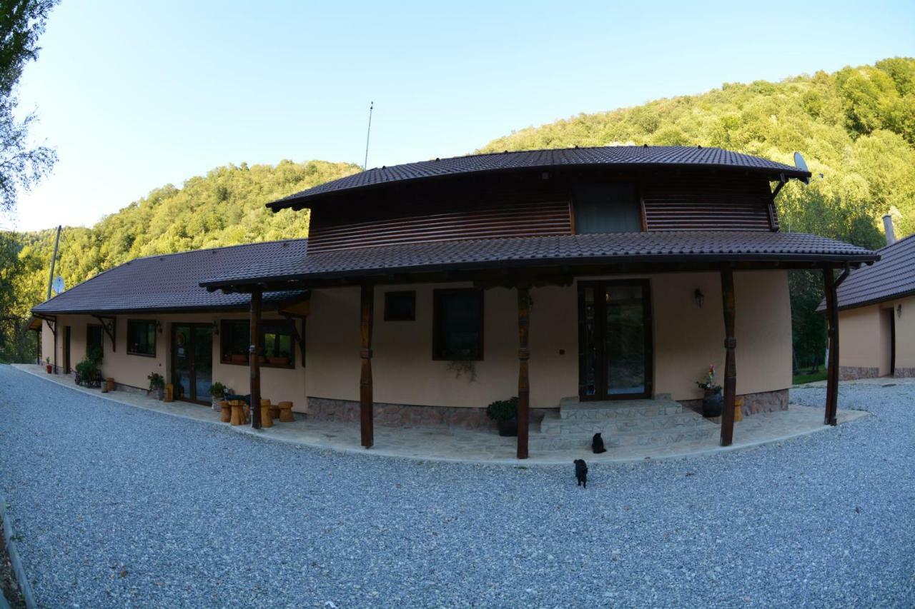 Pensiunea Lupul Dacic Costeşti Buitenkant foto