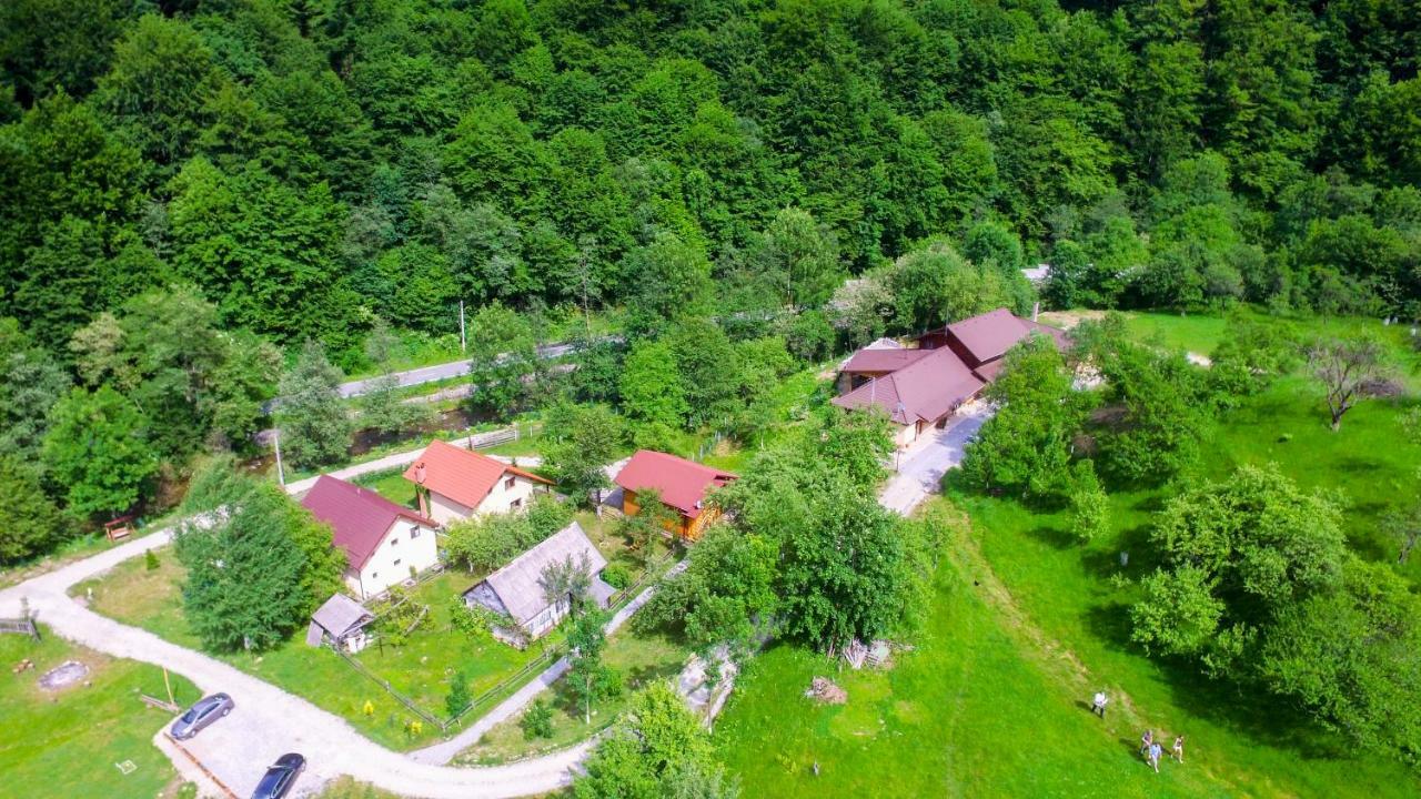Pensiunea Lupul Dacic Costeşti Buitenkant foto