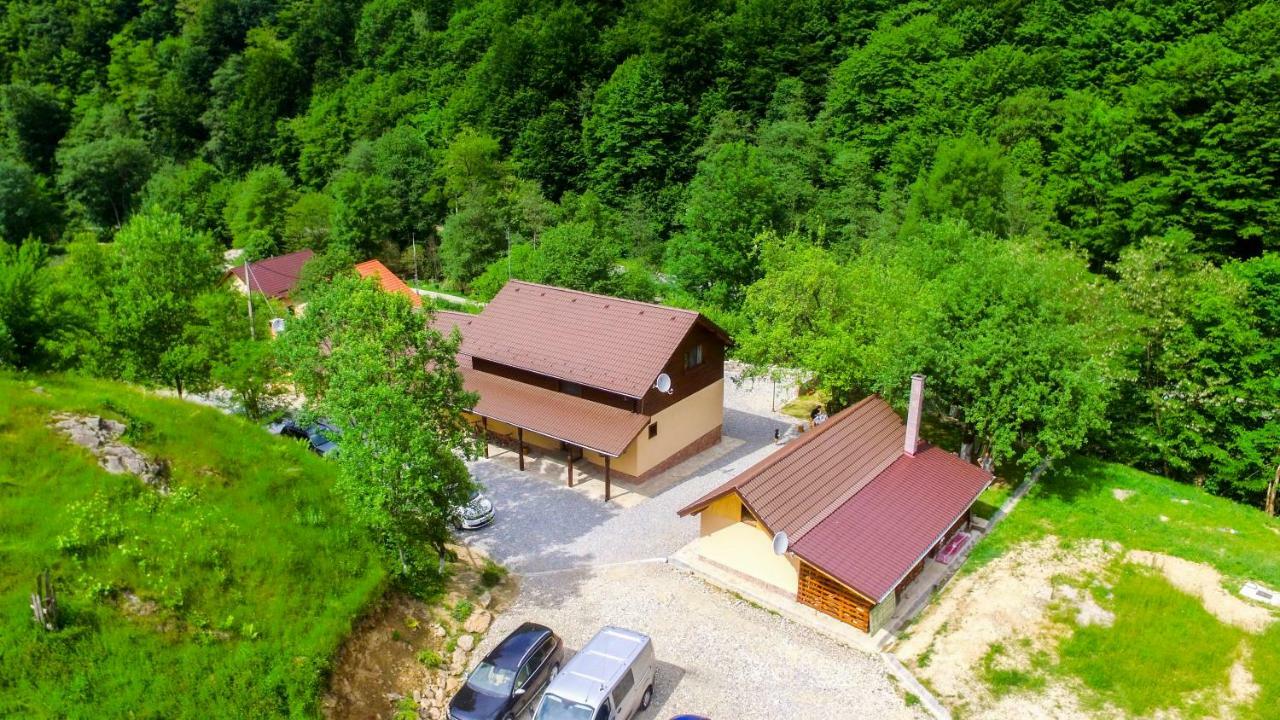 Pensiunea Lupul Dacic Costeşti Buitenkant foto