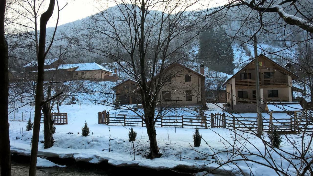 Pensiunea Lupul Dacic Costeşti Buitenkant foto