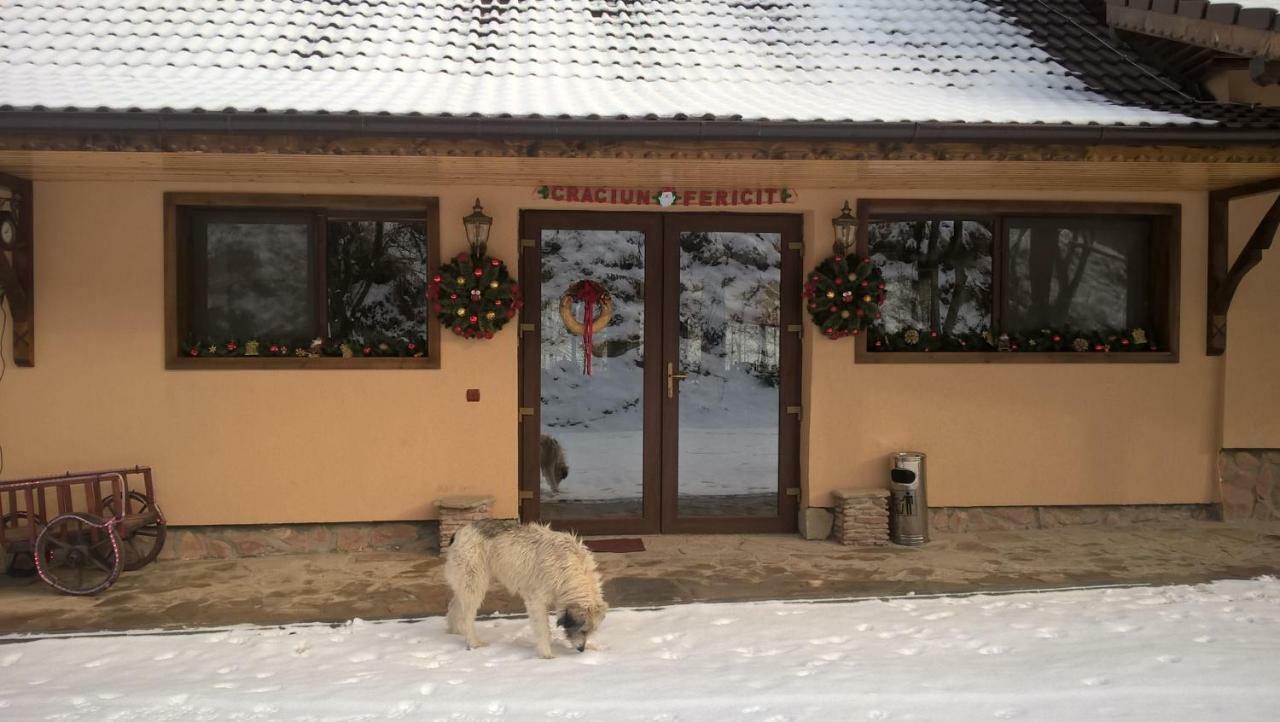 Pensiunea Lupul Dacic Costeşti Buitenkant foto