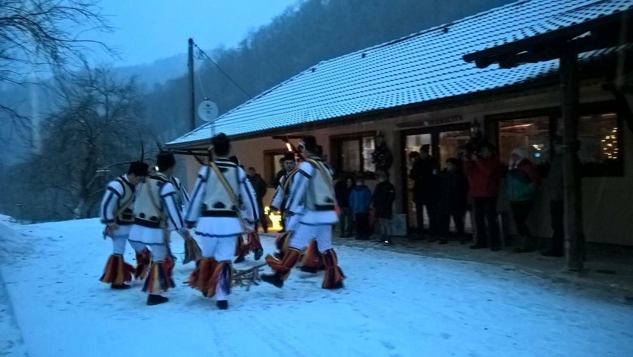 Pensiunea Lupul Dacic Costeşti Buitenkant foto