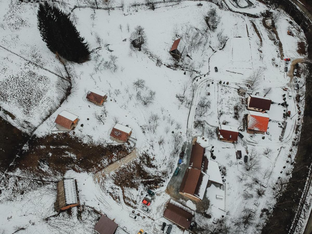 Pensiunea Lupul Dacic Costeşti Buitenkant foto
